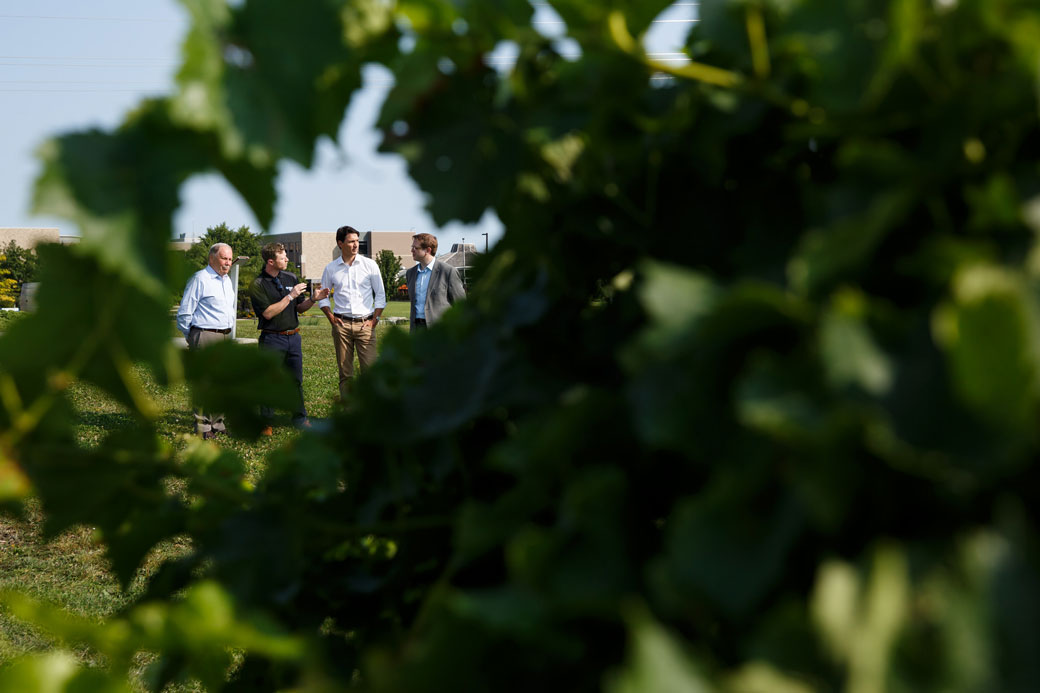 Prime Minister Justin Trudeau and MP Chris Bittle tour the Niagara