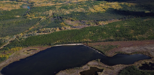 Natural landscape in Northwest Territories, featuring evergreen forests, deciduous trees, and small lakes.