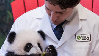 Photo number 2 from the photo gallery Prime Minister Justin Trudeau delivers remarks during the panda naming ceremony at the Toronto Zoo