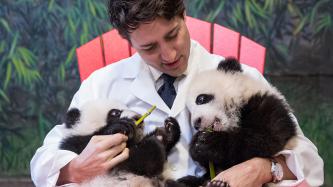 Photo number 4 from the photo gallery Prime Minister Justin Trudeau delivers remarks during the panda naming ceremony at the Toronto Zoo