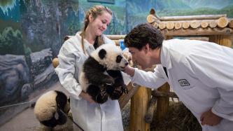 Photo number 8 from the photo gallery Prime Minister Justin Trudeau delivers remarks during the panda naming ceremony at the Toronto Zoo