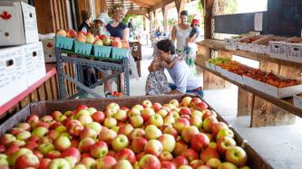 Photo numéro 1 de la galerie de photos Le premier ministre Trudeau, Sophie et leurs enfants visitent le kiosque Granny's Fruit Stand à Penticton, en Colombie-Britannique
