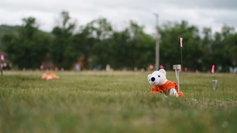 A teddy bear against a solar light and small pink flag in the ground