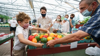 Hadrien Trudeau picks a basket of mixed bell peppers