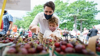 Le PM Trudeau et Hadrien s'arrêtent à un kiosque de raisins rouges
