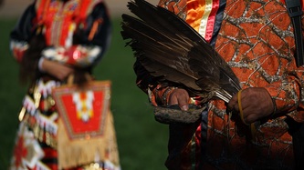 A person holds a bundle of long black feathers